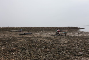 海边滩涂有人劳作场景
