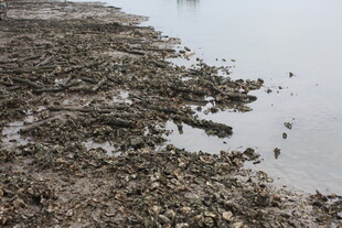 干涸河床现裸露土地