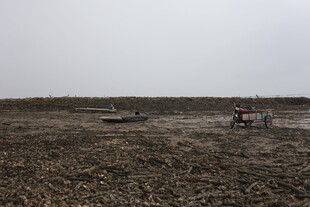 农田里的农机作业场景