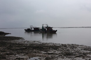 浅滩上停泊的船只