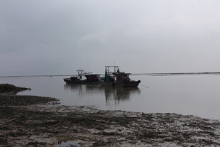 海边停泊的几艘渔船