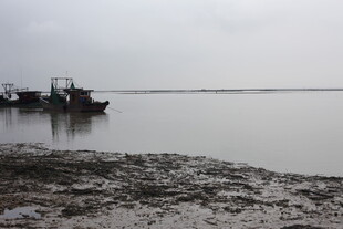 江边停泊的船只与滩涂
