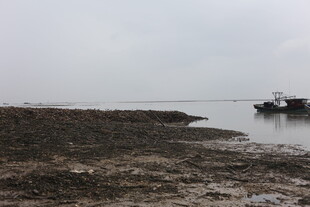 岸边停泊船只的水域景象
