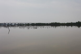 平静湖面与远处桥梁景观