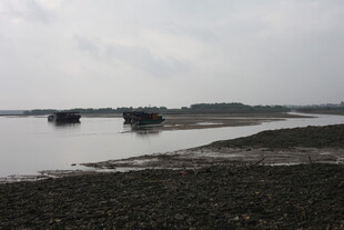 河岸景象水面与岸边景观