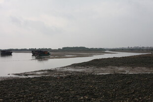 河岸风景水面与岸边景象