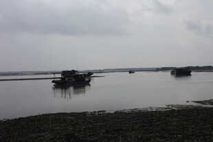 水上船只静谧自然景象