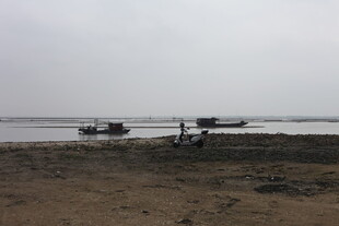 海边停泊的简易船只