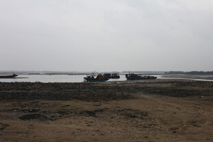 海边停泊的船只景象