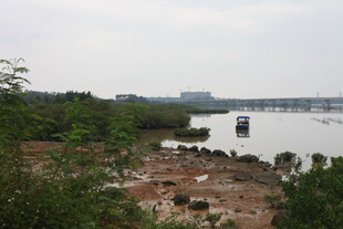 江边自然风光与建筑景象