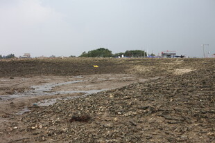 荒地景象地面泥泞且荒芜