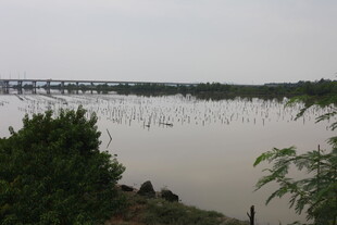 雨中水域与远处桥梁景观