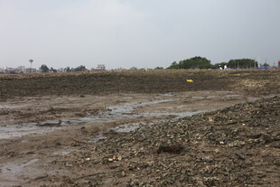 泥泞空旷的户外土地场景