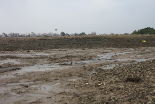 泥泞空旷的户外土地场景