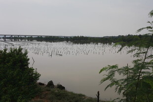 河畔风光绿植环绕的水域