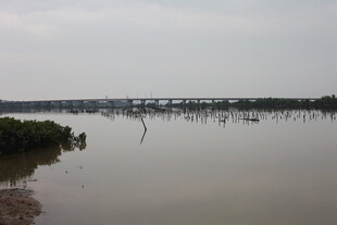 宁静水域与远处桥梁景象