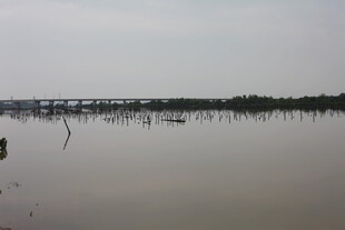 平静水域上的桥梁景观