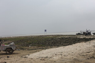 海边滩涂景象与作业车辆