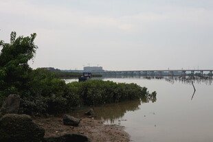 河畔风光宁静水域景致