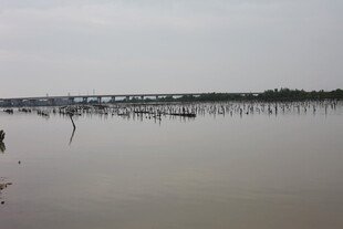 平静河面与远处桥梁景观