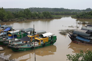 江边停泊的多彩船只