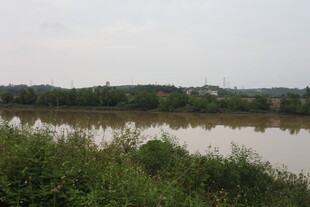 宁静河畔自然风光