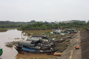河边停泊的多艘老旧船只