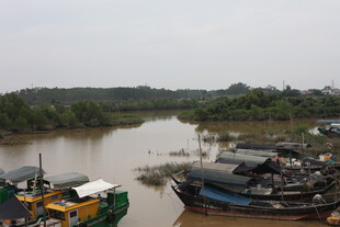 河边停泊的多彩船只