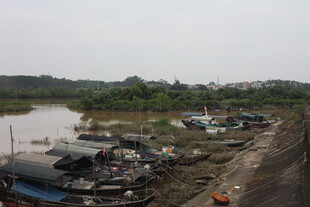 河边停泊的船只景象