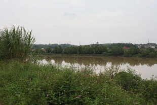 河畔绿植环绕的宁静水域