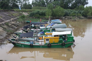 河畔停泊的多彩船只