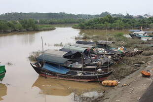江边停泊的多艘船只