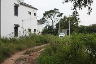 乡村白房旁的泥泞小路