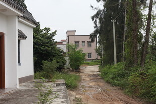 乡村荒废小道旁的建筑