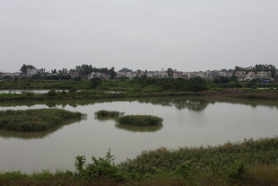 乡村湿地风光景色