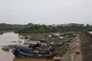 江边停泊的船只景象