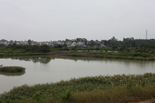 乡村湖畔风光景色