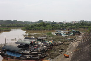 河边停泊的破旧船只