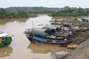 河边停泊的多艘船只