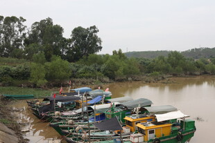 河边停靠的多彩船只