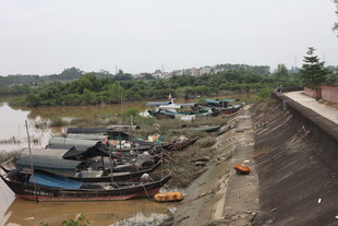 岸边停泊的多艘老旧船只