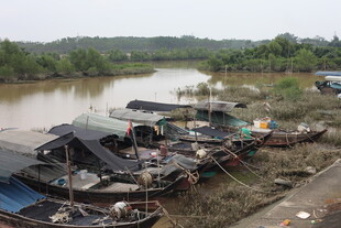 河边停泊的多艘船只