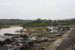 河边停泊的多艘船只