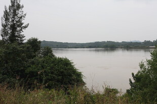 湖畔自然风光景色