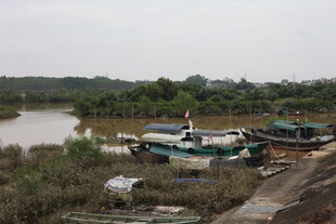 河边停泊的多艘船只