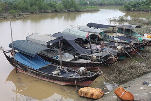 岸边停泊的老旧船只