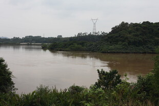 江边自然风光景色