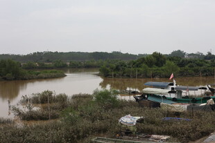 河边停泊的船只与自然景观