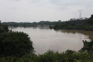 宁静河畔自然风光