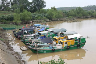河边停泊的多彩船只